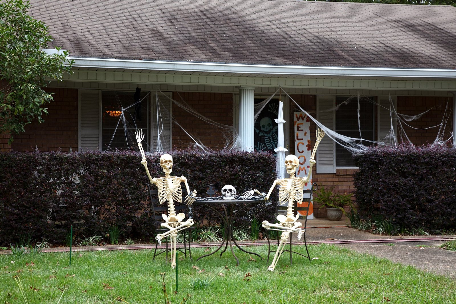 Two skeleton decorations waving from a table in the front yard of a brick ranch house decorated for Halloween